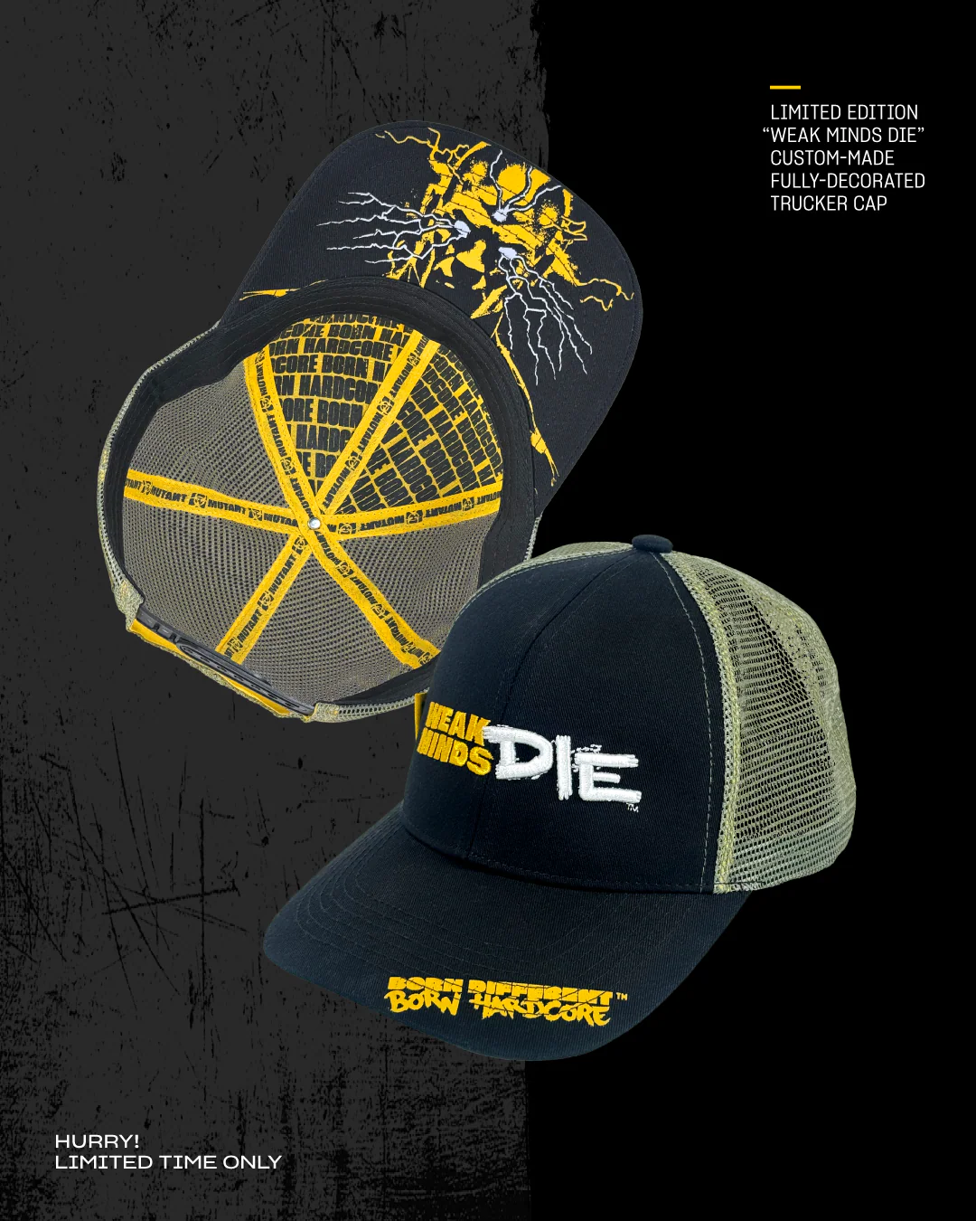 MIND FK VIP BUNDLE - Image 3